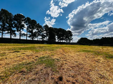 Comprar Terreno / Condomínio em Ribeirão Preto R$ 2.793.000,00 - Foto 3