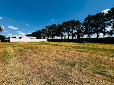 Comprar Terreno / Condomínio em Ribeirão Preto R$ 2.793.000,00 - Foto 5