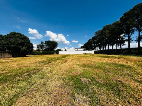 Comprar Terreno / Condomínio em Ribeirão Preto R$ 2.793.000,00 - Foto 8