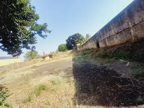 Terreno / Padrão em Ribeirão Preto Alugar por R$6.000,00