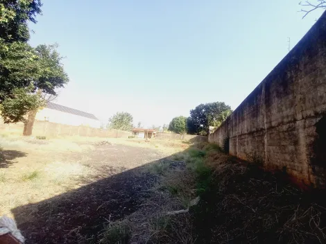 Alugar Terreno / Padrão em Ribeirão Preto R$ 6.000,00 - Foto 2