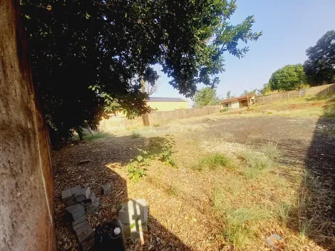 Alugar Terreno / Padrão em Ribeirão Preto R$ 6.000,00 - Foto 4