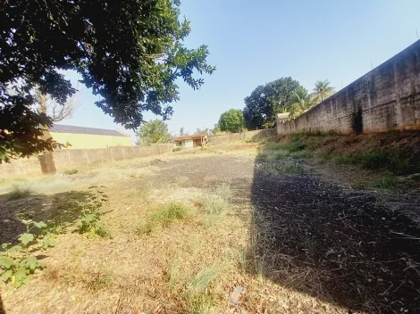 Alugar Terreno / Padrão em Ribeirão Preto R$ 6.000,00 - Foto 5