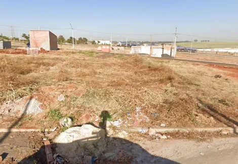 Terreno / Padrão em Ribeirão Preto 