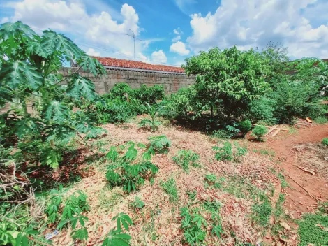 Comprar Terreno / Padrão em Ribeirão Preto R$ 310.000,00 - Foto 6