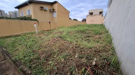 Terreno / Padrão em Ribeirão Preto , Comprar por R$300.000,00