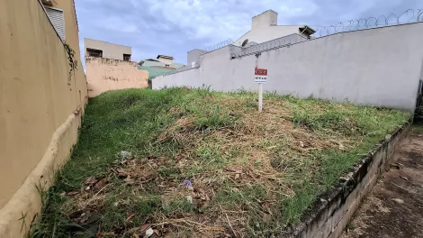 Comprar Terreno / Padrão em Ribeirão Preto R$ 300.000,00 - Foto 2