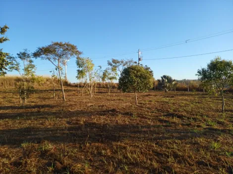 Comprar Terreno / Área em Delfinópolis R$ 450.000,00 - Foto 3