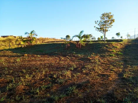 Comprar Terreno / Área em Delfinópolis R$ 450.000,00 - Foto 4