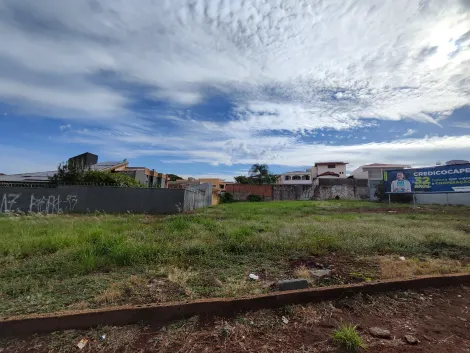 Terreno / Padrão em Ribeirão Preto Alugar por R$6.000,00