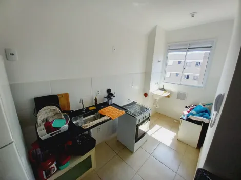 Alugar Apartamento / Padrão em Bonfim Paulista R$ 600,00 - Foto 9