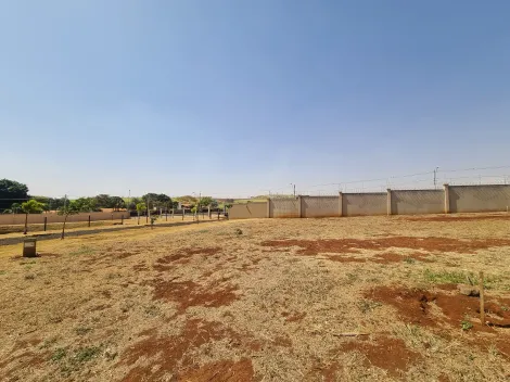 Terreno / Condomínio em Ribeirão Preto Alugar por R$0,00