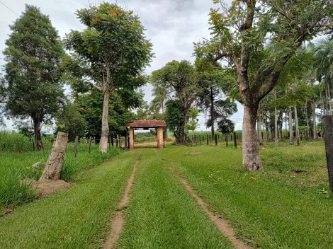 Comprar Rural / Fazenda em Santa Rita do Passa Quatro R$ 2.850.000,00 - Foto 2