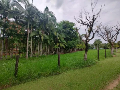 Comprar Rural / Fazenda em Santa Rita do Passa Quatro R$ 2.850.000,00 - Foto 6