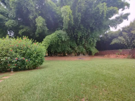 Comprar Rural / Fazenda em Santa Rita do Passa Quatro R$ 2.850.000,00 - Foto 66