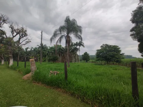 Comprar Rural / Fazenda em Santa Rita do Passa Quatro R$ 2.850.000,00 - Foto 73