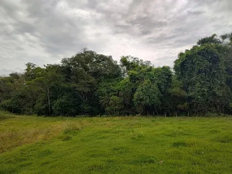 Comprar Rural / Fazenda em Santa Rita do Passa Quatro R$ 2.850.000,00 - Foto 74