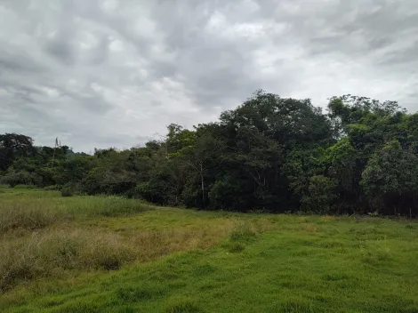 Comprar Rural / Fazenda em Santa Rita do Passa Quatro R$ 2.850.000,00 - Foto 76