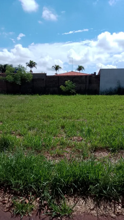 Comprar Terreno / Padrão em Cravinhos R$ 480.000,00 - Foto 6