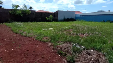 Comprar Terreno / Padrão em Cravinhos R$ 480.000,00 - Foto 7