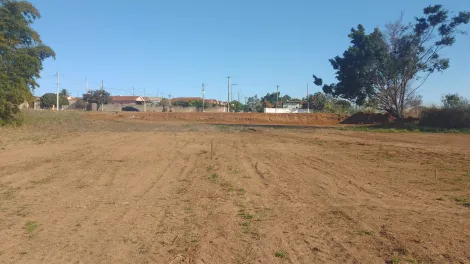 Terreno / Padrão em Santa Cruz da Esperança 