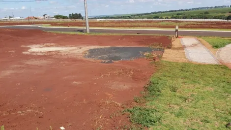 Comprar Terrenos / Condomínio em Cravinhos R$ 250.000,00 - Foto 3