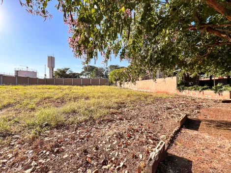 Terreno / Condomínio em Bonfim Paulista 