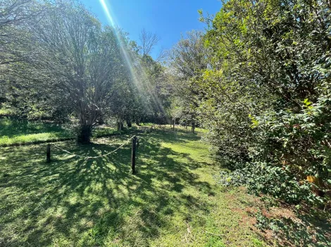 Comprar Casas / Condomínio em Ribeirão Preto R$ 1.950.000,00 - Foto 30