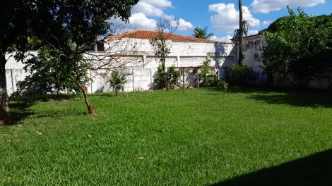 Alugar Casa / Chácara - Rancho em Ribeirão Preto R$ 5.000,00 - Foto 1