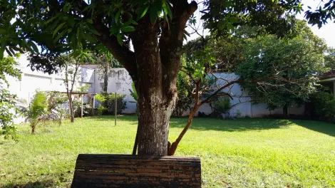 Alugar Casa / Chácara - Rancho em Ribeirão Preto R$ 5.000,00 - Foto 17