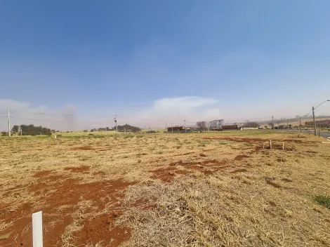 Comprar Terreno / Condomínio em Ribeirão Preto R$ 415.000,00 - Foto 3