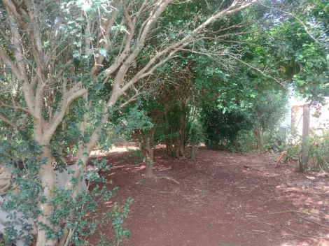 Comprar Casa / Chácara - Rancho em Ribeirão Preto R$ 1.500.000,00 - Foto 3