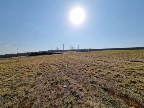 Comprar Terreno / Condomínio em Ribeirão Preto R$ 320.000,00 - Foto 5