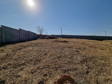 Comprar Terreno / Condomínio em Ribeirão Preto R$ 370.000,00 - Foto 4