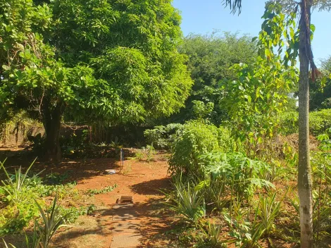 Comprar Terreno / Padrão em Ribeirão Preto R$ 400.000,00 - Foto 6