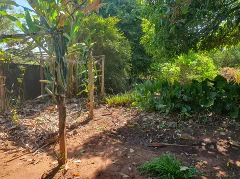 Comprar Terreno / Padrão em Ribeirão Preto R$ 400.000,00 - Foto 8