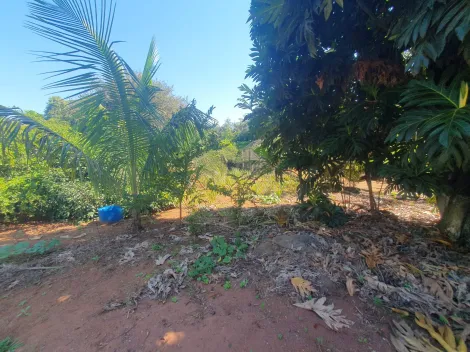 Comprar Terreno / Padrão em Ribeirão Preto R$ 500.000,00 - Foto 2