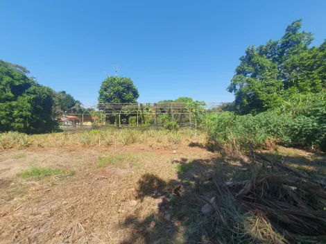 Comprar Terreno / Padrão em Ribeirão Preto R$ 500.000,00 - Foto 4