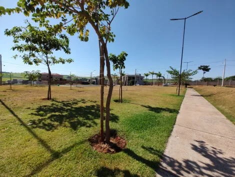 Comprar Terrenos / Condomínio em Ribeirão Preto R$ 245.000,00 - Foto 13