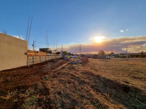 Comprar Terreno / Condomínio em Ribeirão Preto R$ 260.000,00 - Foto 11