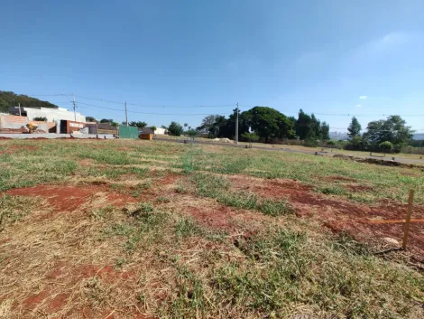 Terrenos / Condomínio em Ribeirão Preto Alugar por R$0,00