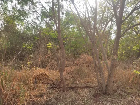 Comprar Terreno / Padrão em Ribeirão Preto R$ 380.000,00 - Foto 7