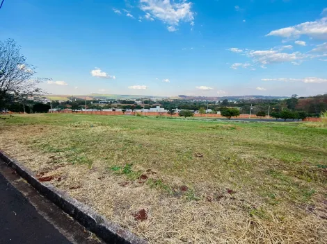 Comprar Terreno / Padrão em Bonfim Paulista R$ 310.000,00 - Foto 3