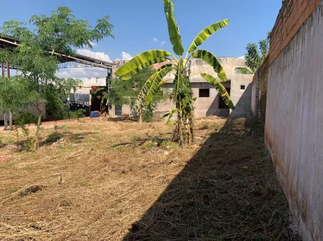 Comprar Comercial padrão / Galpão - Armazém em Ribeirão Preto R$ 1.000.000,00 - Foto 9