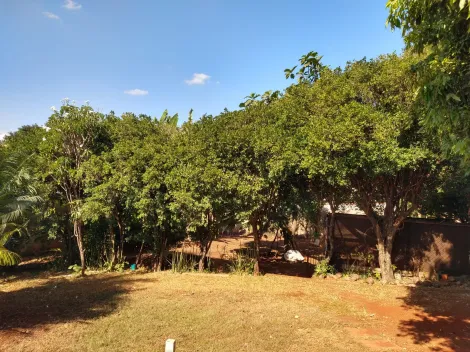 Comprar Casa / Padrão em Ribeirão Preto R$ 2.350.000,00 - Foto 26