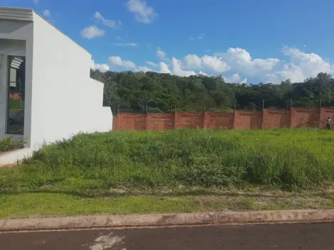 Terreno / Padrão em Ribeirão Preto , Comprar por R$307.000,00