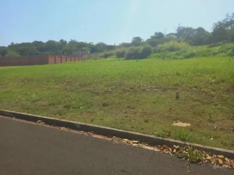 Terreno / Padrão em Ribeirão Preto Alugar por R$0,00