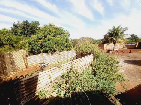 Alugar Casa / Chácara - Rancho em Sertãozinho R$ 3.500,00 - Foto 43