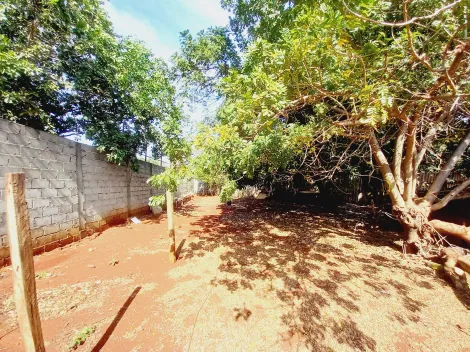 Alugar Casa / Chácara - Rancho em Sertãozinho R$ 3.500,00 - Foto 45