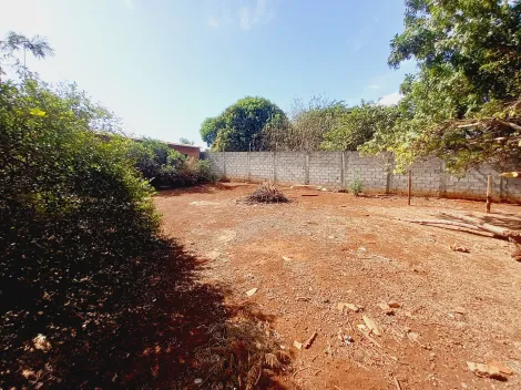 Alugar Casa / Chácara - Rancho em Sertãozinho R$ 3.500,00 - Foto 48